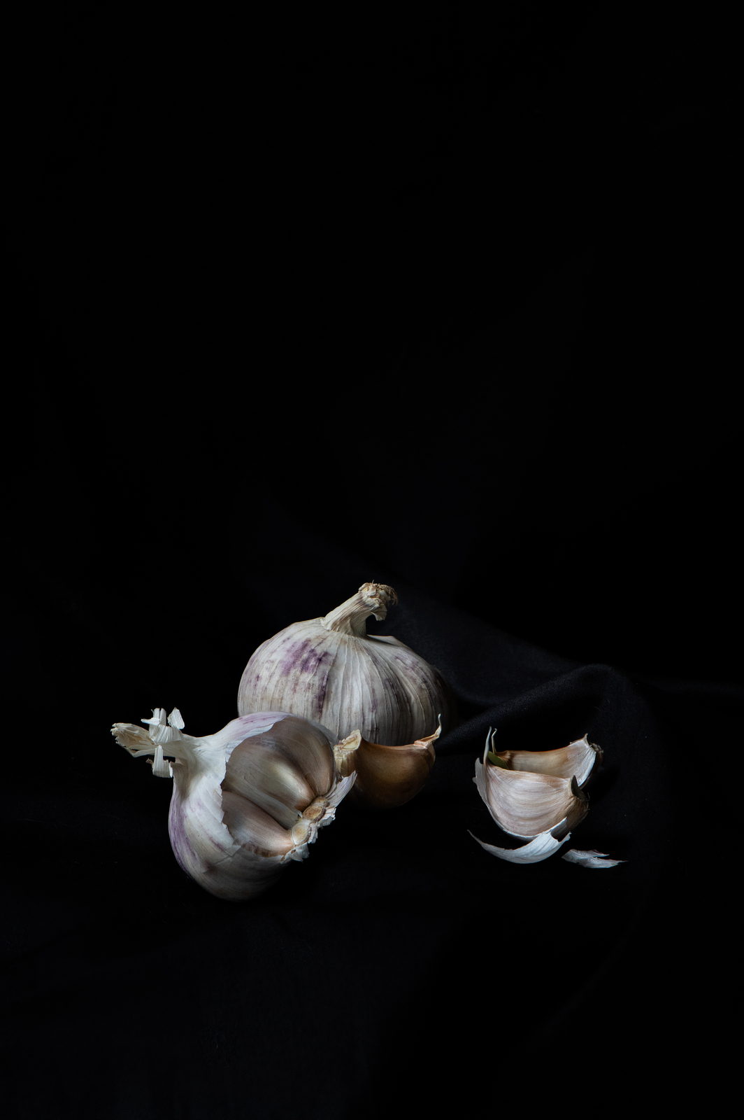 antonella_lingua_006