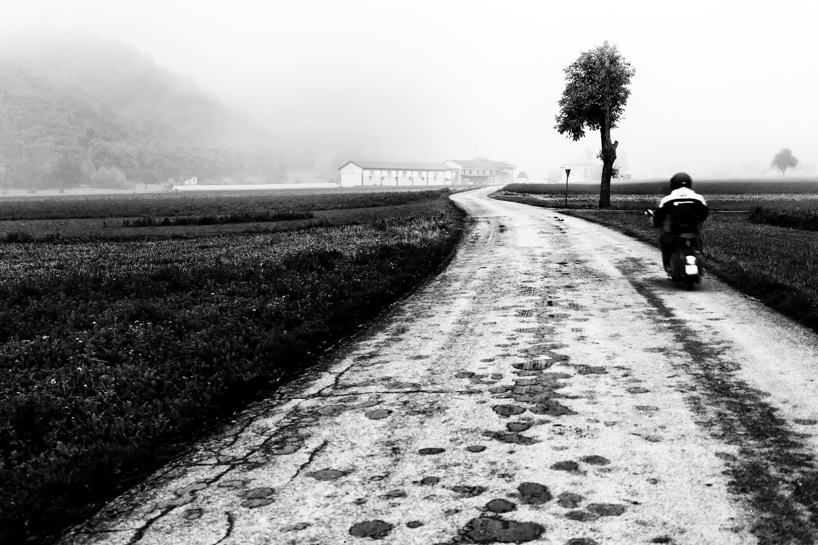 luca_sangiovanni_013