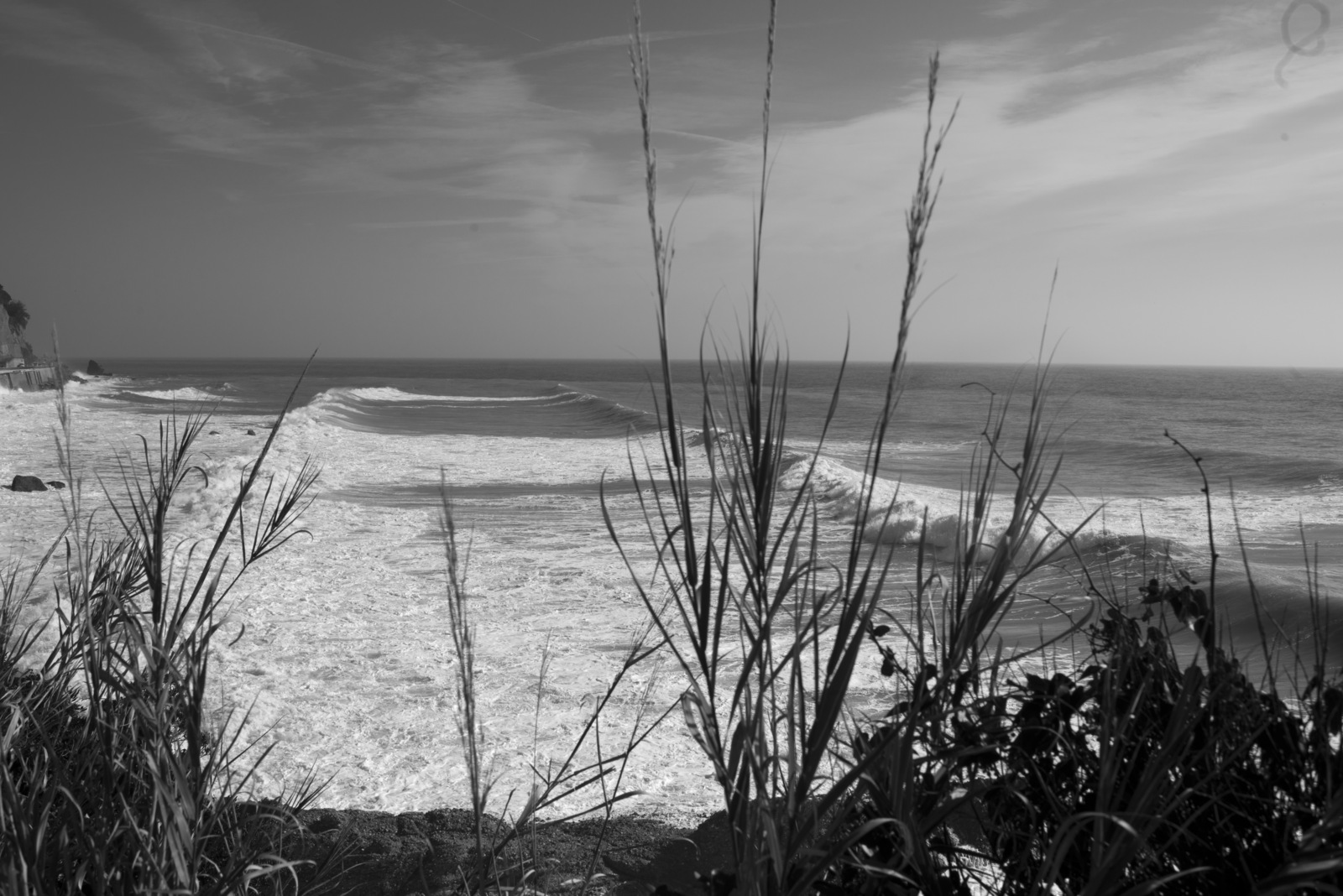 ober_bondi_010