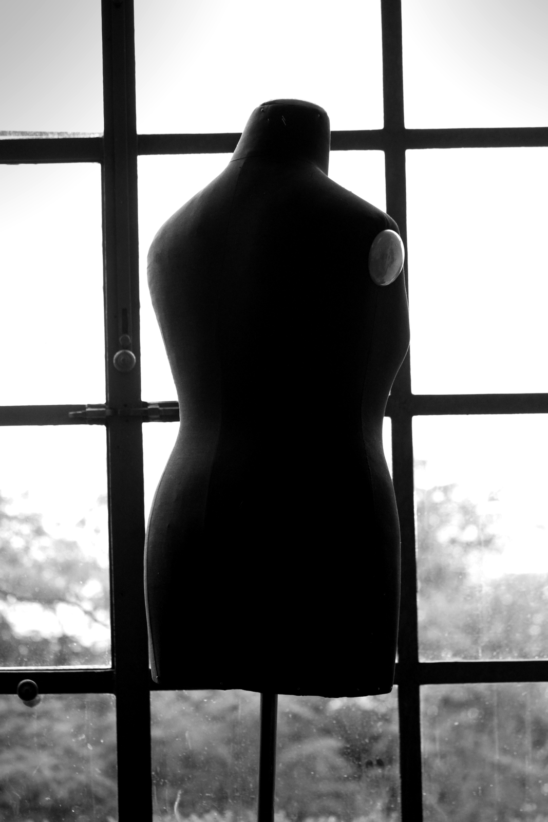 silvia_fea_005