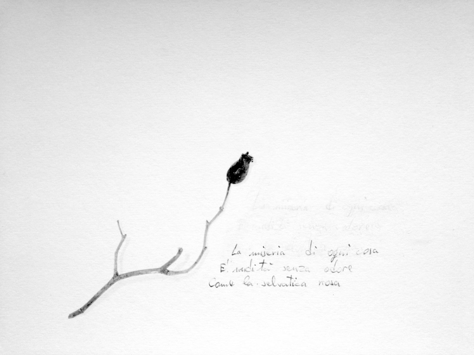 Ugo Canavese - NON C’E’ ARTE SENZA DOLORE di Paolo Crepet