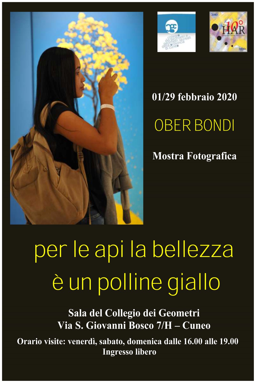 Per le api la bellezza è un polline giallo