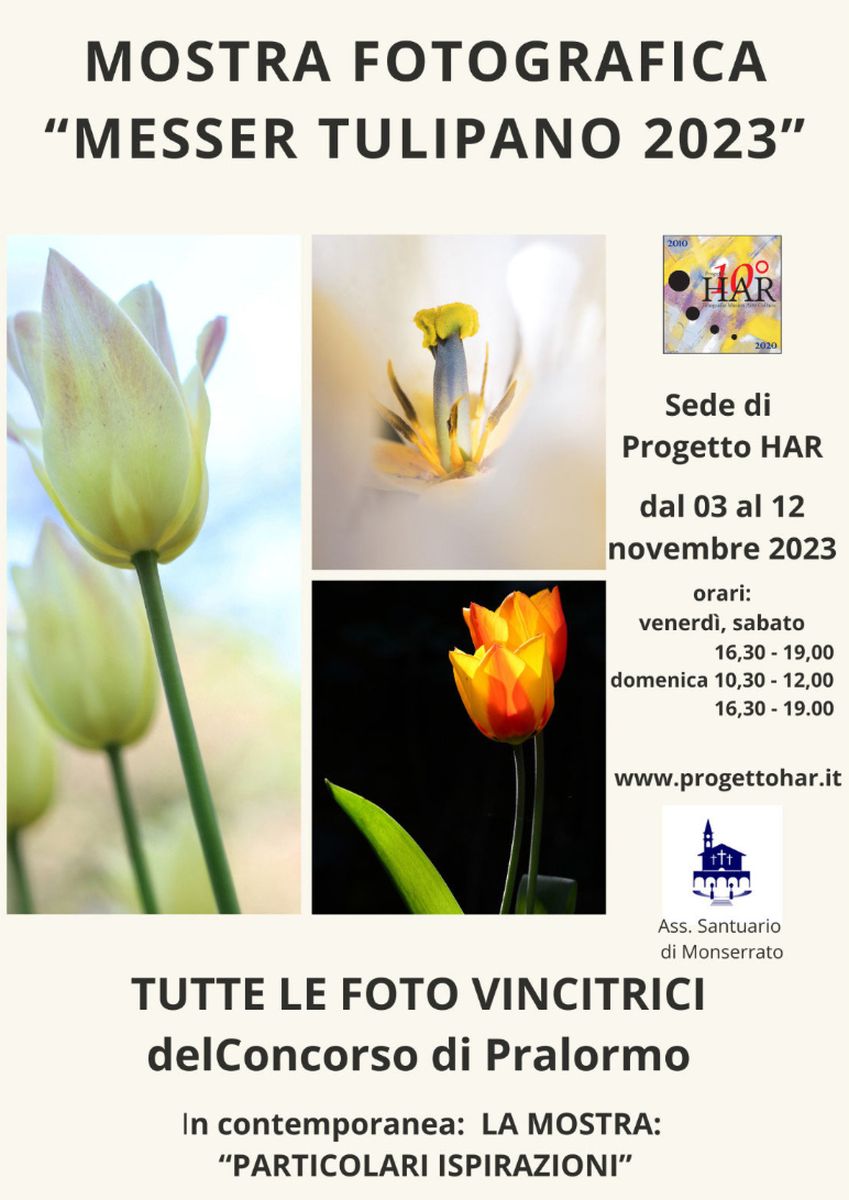 Messer Tulipano 2023